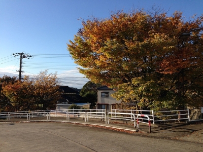 日企面試常見問題和回答（14題）