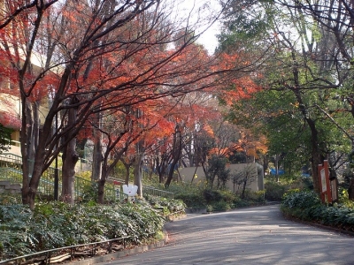 去日本工作需要有準(zhǔn)備哪些材料？